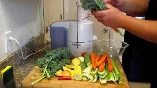 Homemade V8 Juice Using Fresh  Ingredients From The Garden