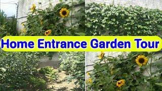 Home Entrance Garden Tour 2024|Plants Flower Garden Tour|Front Garden|Porch Tour,Lawn|Monsoon Garden