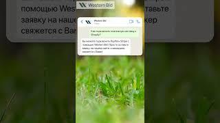 Как подключить платежную систему к shopify