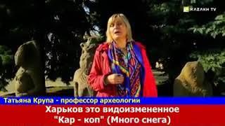 Турк-Қағанаты, Дешті-Қыпшақ Киевті құрған.