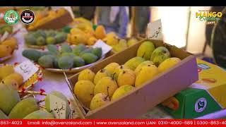 Highlights from DHA Multan's Mango Festival 2024 || Avenzaland