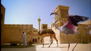 Dubai Tourism TVC