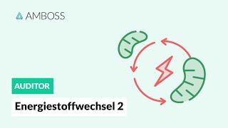 Energiestoffwechsel Teil 2 (mit Molekülstrukturen) -- Reaktionen der Glykolyse -- AMBOSS Auditor