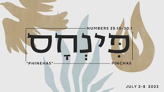 Pinchas 2023 - First Century Ministries