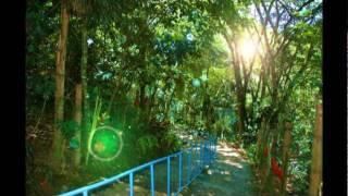 Piendamó, Cauca: Santuario Niña Dorita, " Dorita Girl Sanctuary"