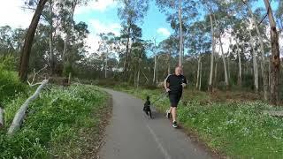 Bike Trail, Mullum Mullum Creek Trail, Warrandyte Rd, Deep Creek Rd and Reynolds Rd paths - remade