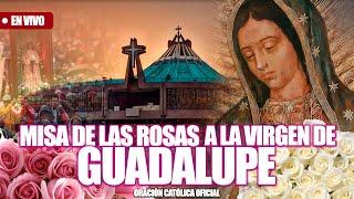 MISA DE LAS ROSAS VIRGEN DE GUADALUPE desde la Basílica de Guadalupe HOY JUEVES 12 DE DICIEMBRE 2024