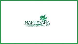 Медицинская марихуана при ПТСР