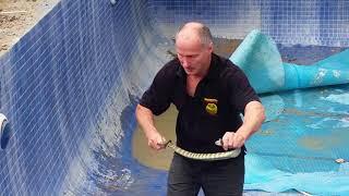 Melbourne snake catcher rescues a Deadly Tiger Snake from a home in Templestowe