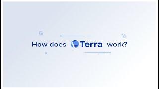 How Does Terra Work?