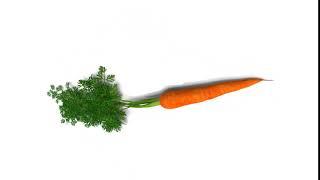 Random Carrot