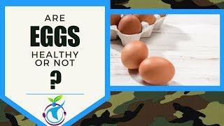 Eggs: Healthy Or Not?