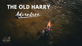 KAYAK ADVENTURE TO OLD HARRY ROCKS