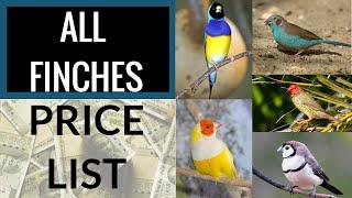 All Finches Price List (with pictures)