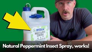 Mighty Mint Natural Peppermint Oil Insect & Pest Spray review