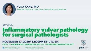 Inflammatory vulvar pathology for surgical pathologists - Dr. Kang (UCLA) #GYNPATH