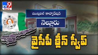 YCP full swing in AP Municipal Election Results 2021 - TV9