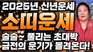 [2025년 미리보는 을사년 소띠운세] 경축드립니다! 내년 소띠에게 엄청난 기회와 변화가 찾아와 대박난다! 생각지 못한 큰 돈이 들어온다? 61년생 73년생 85년생 97년생 운세