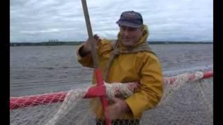 Haaf Netting.flv