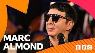 Marc Almond - Summertime Sadness ft. BBC Concert Orchestra (Radio 2 Piano Room)