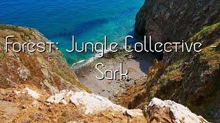 Forest: Jungle Collective - Sark