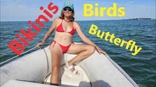 Bikinis, Birds & Butterfly Ep135