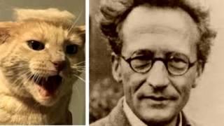 Schrödinger's Cat is Trump's Cat (America's Election 2016)