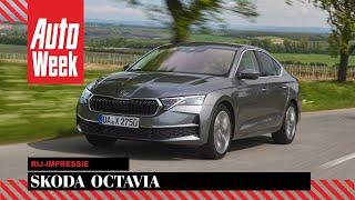 Skoda Octavia (2024) - AutoWeek Review