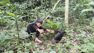 Nam - Poor boy: 45 days the boy wandered to sleep under the bridge, nothing to eat