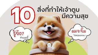 10 สิ่งทีทำให้เจ้าตูบมีความสุข ที่ทาสหมาไม่ควรพลาด | #ECOBOK