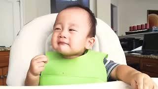 Funny Baby Videos - Joyful Baby Babbles And Cuddles Part 2