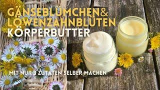 Gänseblümchen & Löwenzahn Körperbutter - mit nur 3 Zutaten selber machen