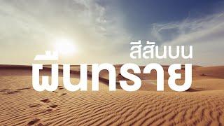 สารคดี สำรวจโลก สีสันชีวิตบนผืนทราย