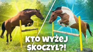 SKOKI LUZEM MOICH KONI! I WĄŻ W SIODLARNI...