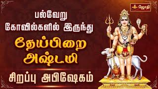 பல்வேறு கோயில்களில் இருந்து தேய்பிறை அஷ்டமி - சிறப்பு அபிஷேகம் | Bairavar Theipirai Ashtami