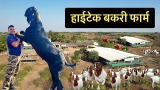 हाईटेक बकरी फार्म - Hi Tech Goat Farm || Successful Goat Farming || Biggest Farm || Hello Kisaan