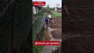 Стихия не отступает! ️