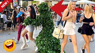 Bushman. Bushwoman Prank in Madrid, Spain Awesome Reactions