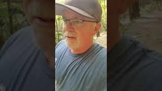 Hiking Catawba Falls Lower Trailhead  Asheville NC Hike #shorts #hiking #blueridgemountains