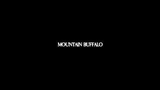 BATO - MOUNTAIN BUFFALO (ALBUM TEASER)