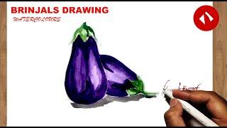 how to draw Brinjal | How to Draw Eggplant \ vegetable drawing  | Divart