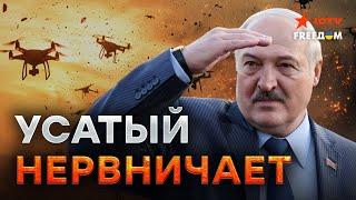 Лукашенко СНЯТСЯ УКРАИНСКИЕ ДРОНЫ ⭕ ОБСТАНОВКА НА ГРАНИЦЕ с Беларусью