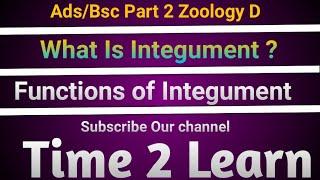 What is Integument ?/ Functions of  integuments / Time 2 Learn