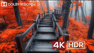 Stunning Dolby Vision 4K HDR 60FPS - Ultra HD 4K Video Experience