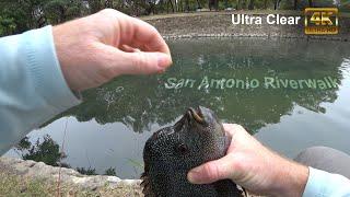 Is it legal to fish here? - San Antonio riverwalk park - McFly Angler Episode 87