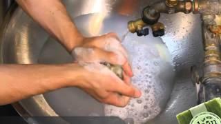 Soapy Soap Company - Soaps in Action: Sabun Shampoo