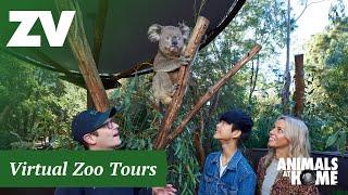 Virtual Tour of Healesville Sanctuary