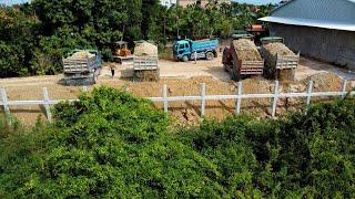 New Project Plan Filling Land In The Gap & Fence By 5Ton Truck Unloading Operator Dozer Pushing Soil