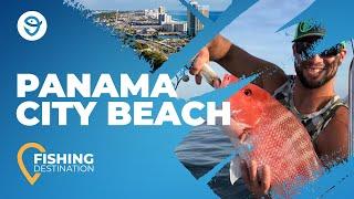 Panama City Beach Fishing: All You Need to Know | FishingBooker
