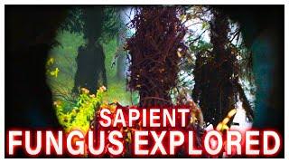 The ANCIENT SAPIENT Organism In The Earth Explained